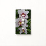 White Orchids Beautiful Tropical Flowers Light Switch Cover