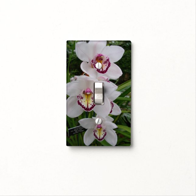White Orchids Beautiful Tropical Flowers Light Switch Cover (In Situ)
