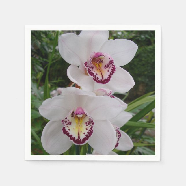 White Orchids Beautiful Tropical Flowers Napkins (Front)