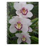 White Orchids Beautiful Tropical Flowers Notebook