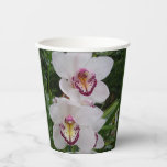 White Orchids Beautiful Tropical Flowers Paper Cups