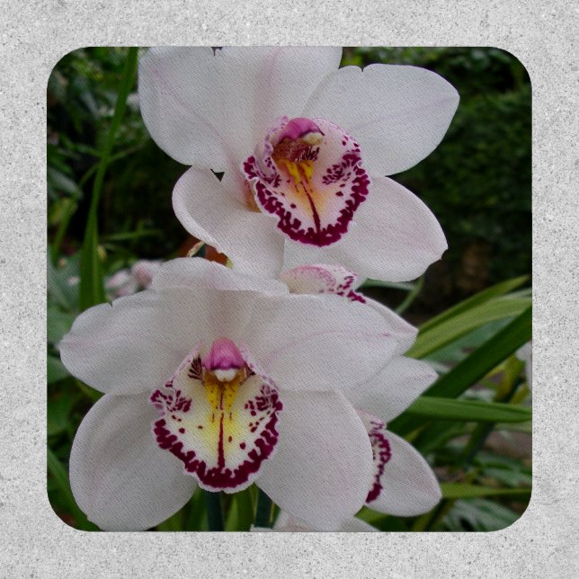 White Orchids Beautiful Tropical Flowers Patch (Front)