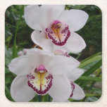 White Orchids Beautiful Tropical Flowers Square Paper Coaster