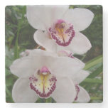 White Orchids Beautiful Tropical Flowers Stone Coaster