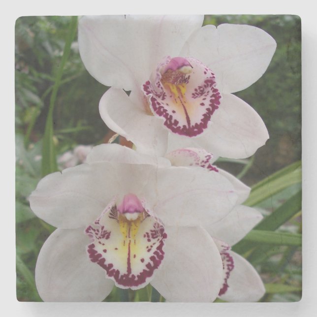 White Orchids Beautiful Tropical Flowers Stone Coaster (Front)
