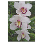 White Orchids Beautiful Tropical Flowers Tissue Paper