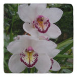 White Orchids Beautiful Tropical Flowers Trivet