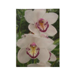 White Orchids Beautiful Tropical Flowers Wood Poster