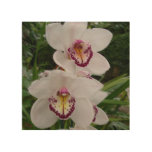 White Orchids Beautiful Tropical Flowers Wood Wall Art