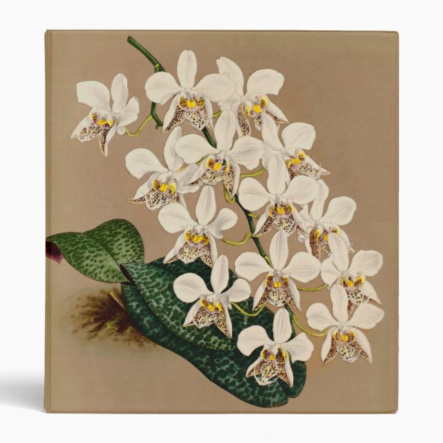 White Orchids Botanical Print, Tan Background 3 Ring Binder (Front)