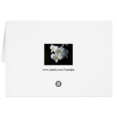 White Orchids Card (Back Horizontal)