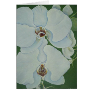 White Orchids Cards