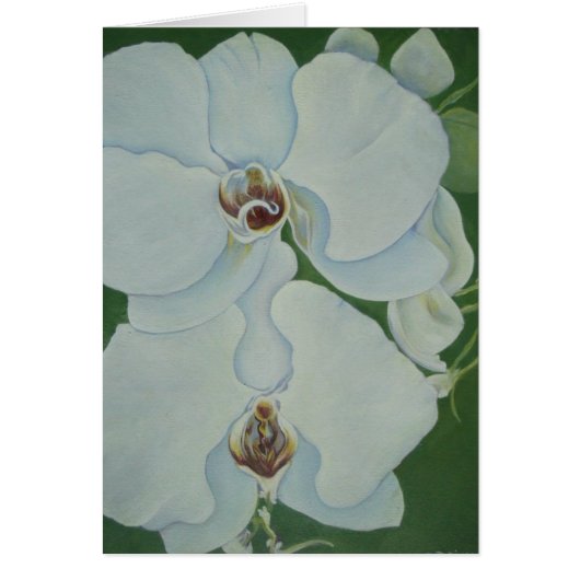 White Orchids Cards (Front)