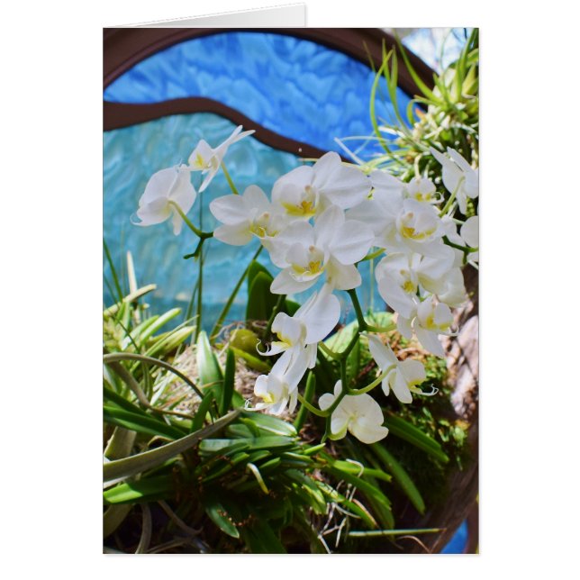 "White Orchids" Cards (Front)