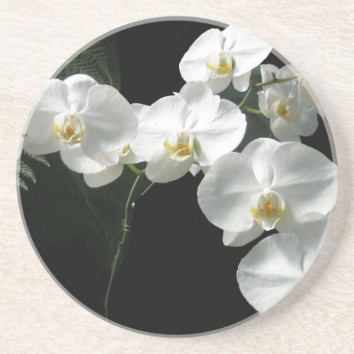 White Orchids Coaster