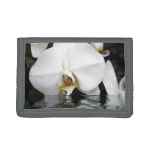 White Orchids Emerging from Water Photo Wallet
