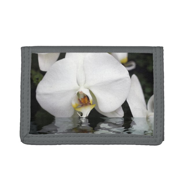 White Orchids Emerging from Water Photo Wallet (Front)