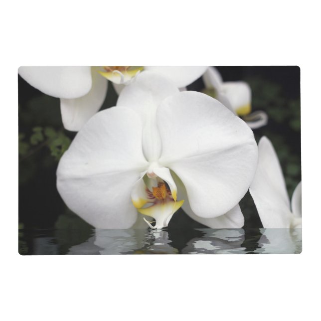 White Orchids Emerging Laminated Placemat (Front)