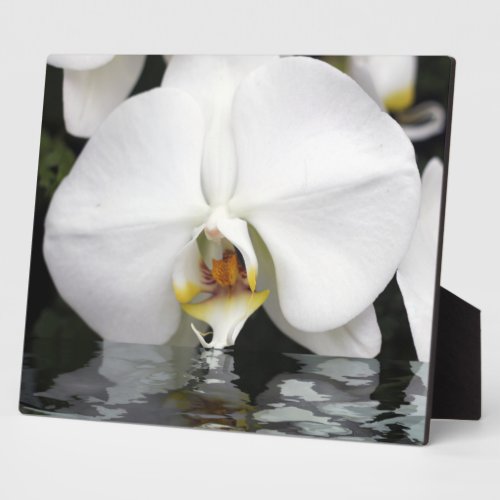 White Orchids Emerging Tabletop Plaque and Easel
