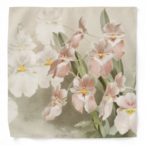 White Orchids Flower Vintage Old Illustration Bandana