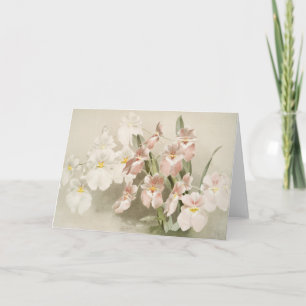 White Orchids Flower Vintage Old Illustration Card