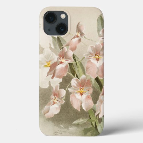 White Orchids Flower Vintage Old Illustration iPhone 13 Case