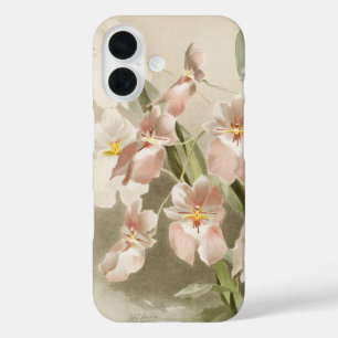 White Orchids Flower Vintage Old Illustration iPhone 16 Case