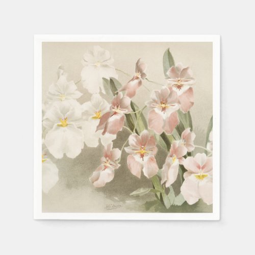 White Orchids Flower Vintage Old Illustration Napkins