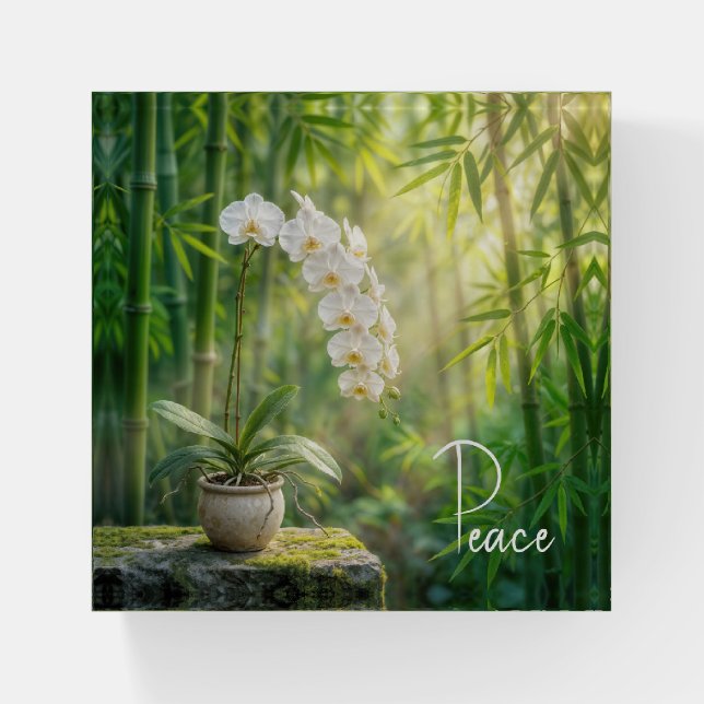 White Orchids in Bamboo Forest with Peace Text Paperweight (Front)