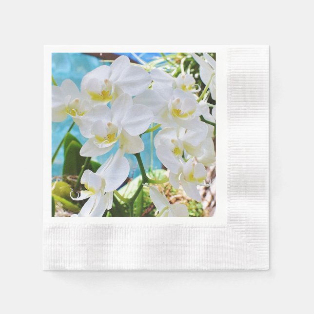 White Orchids  Napkins (Front)