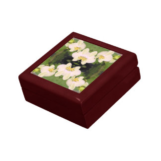White Orchids on a green background Gift Box