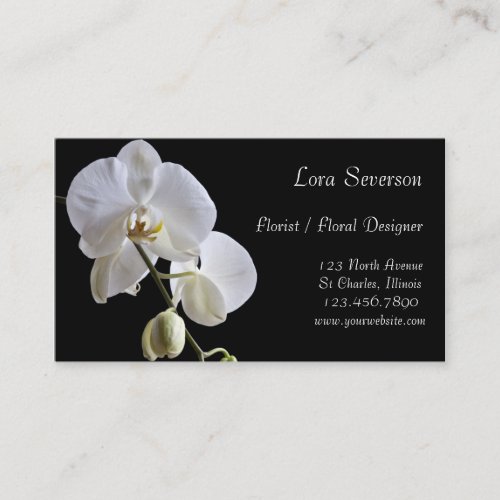 White Orchids on Black Florist  Business Card