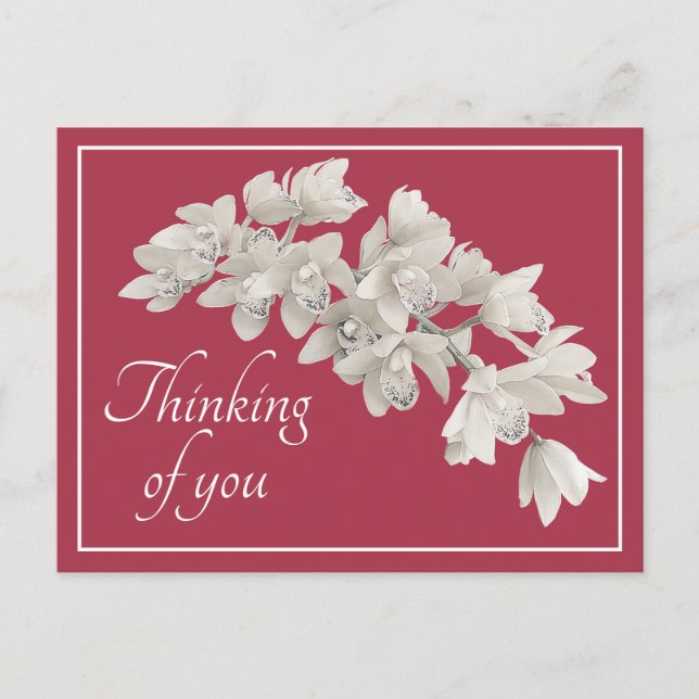 White Orchids Pink Background Thinking of You Postcard (Front)