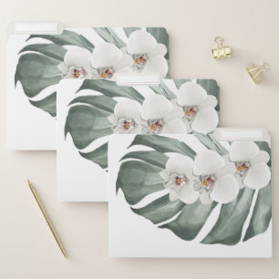 White Orchids Tropical Watercolor Floral File Folder