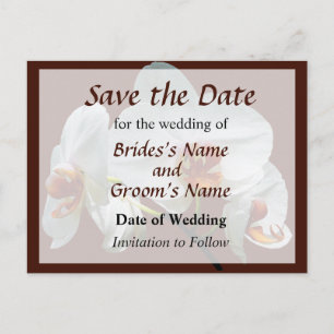 White Orchids With Orange Center Announcement Postcard