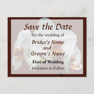 White Orchids With Orange Center Announcement Postcard