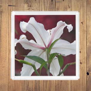 White Oriental Lily Bloom Floral Acrylic Tray