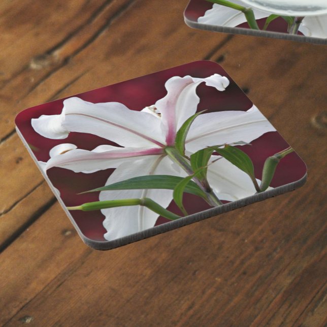 White Oriental Lily Bloom Floral Beverage Coaster (In Situ)
