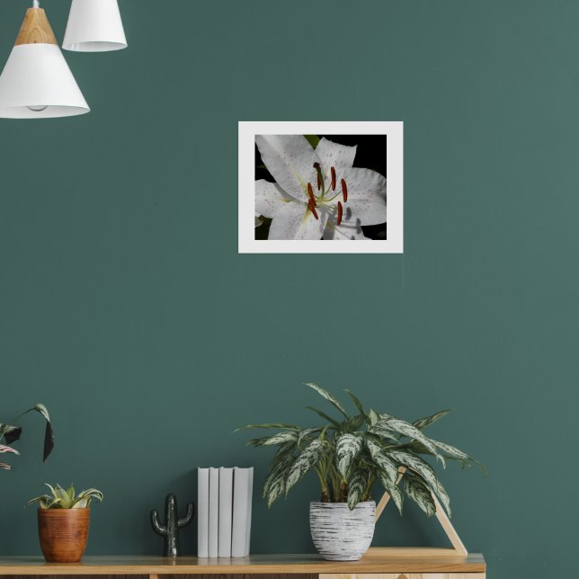 White Oriental Lily Bloom Floral Poster (Living Room 1)