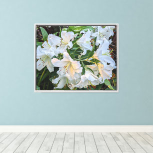 White Oriental Lily Blooms Floral Canvas Print