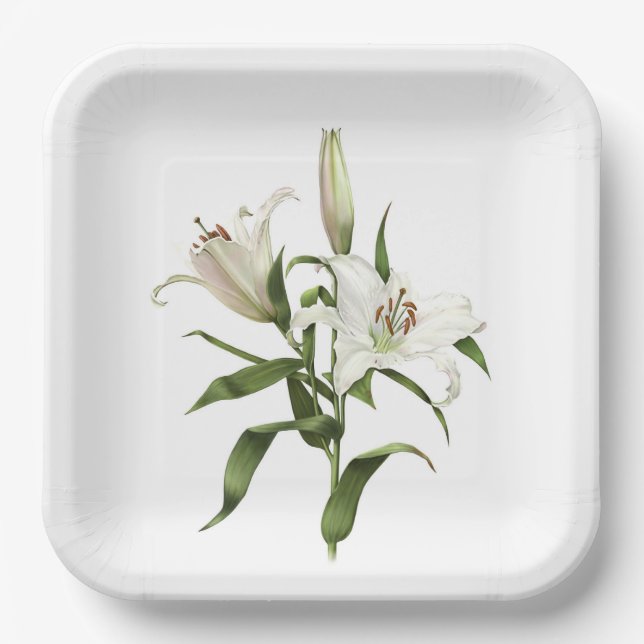 White Oriental Lily Botanical Art  Paper Plates (Front)