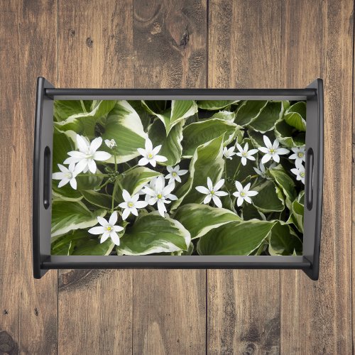 White Ornithogalum and Hosta Plants Floral Serving Tray
