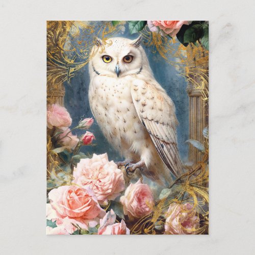 White Owl and Pink Roses Postcard