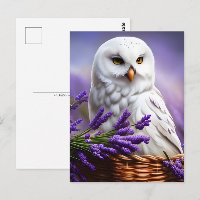 White Owl in Lavender, Postcrossing Postcard (Front/Back)
