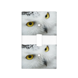 White owl light switch cover