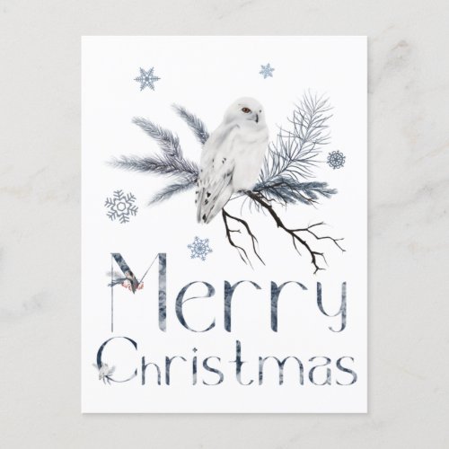 White Owl On A Pine Tree Branch Postcard