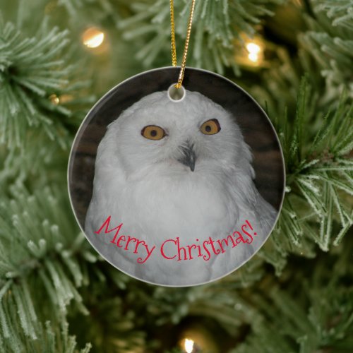 White Owl Photo Christmas Ceramic Ornament