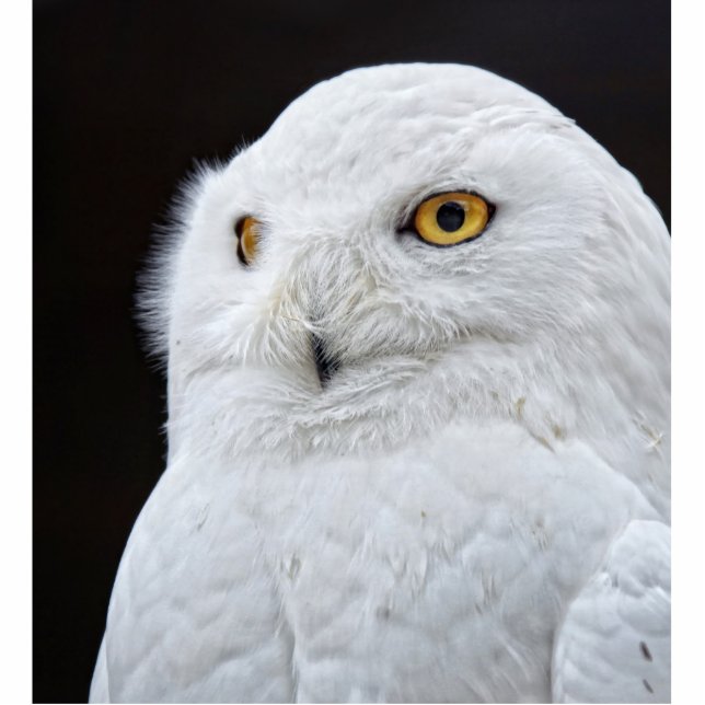 White Owl Statuette (Front)