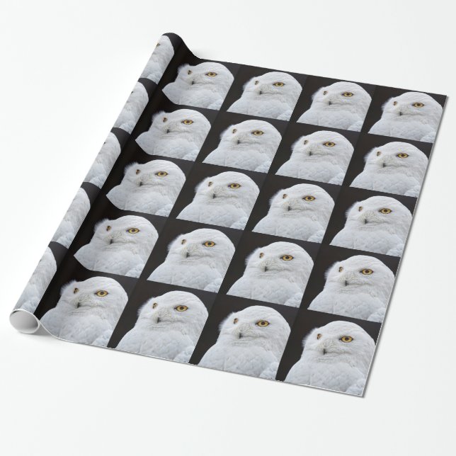 White Owl Wrapping Paper (Unrolled)