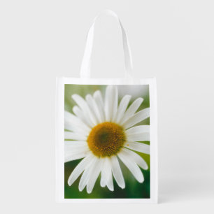 White Oxeye Daisy - Leucanthemum vulgare Grocery Bag